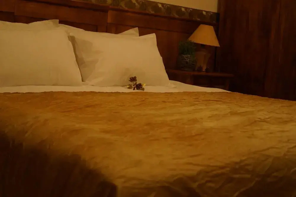 Boutique Troy Hotel - Chambres