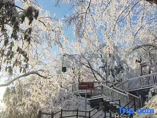 Wawushan 999 Xiaoju Farmhouse (Jinhuaqiao Cableway Branch) in Meishan