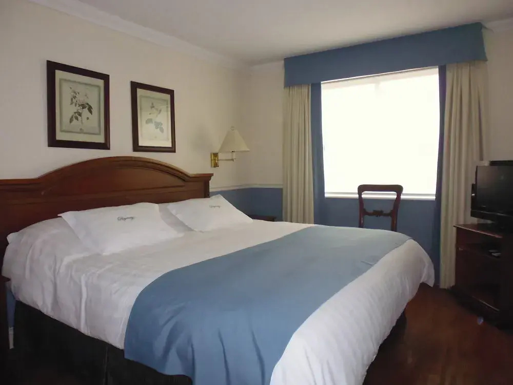 Regency Suites Boutique Hotel - Général
