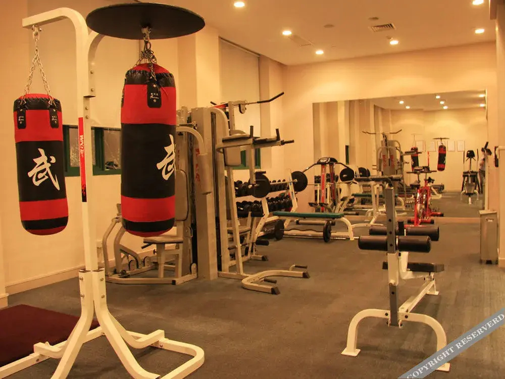 Sports & Activities