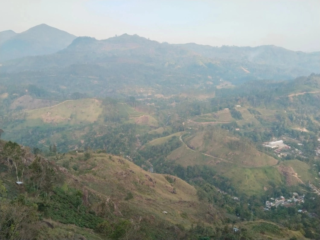 Nature valley homestay