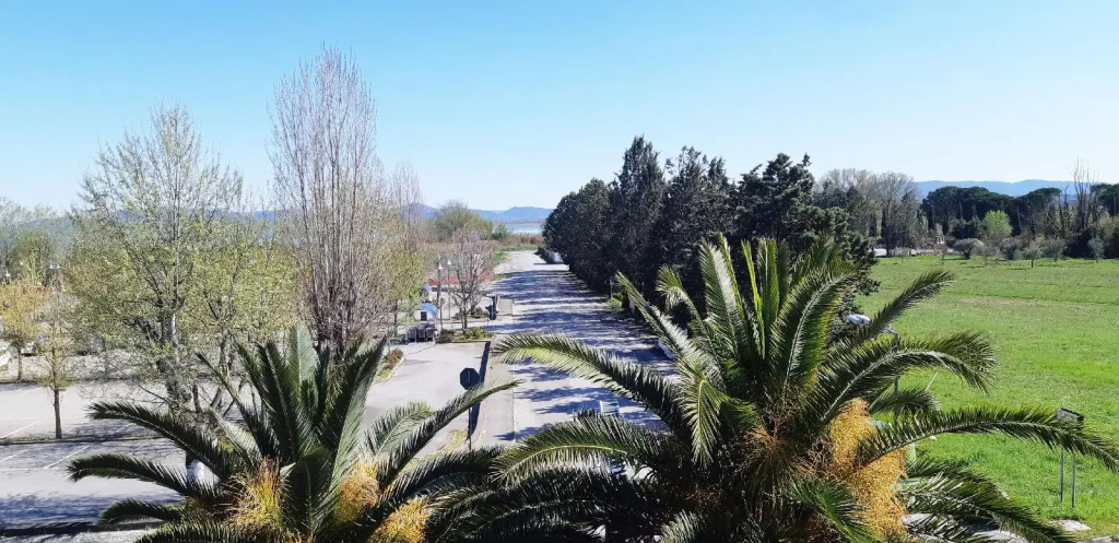 Trasimeno - Général