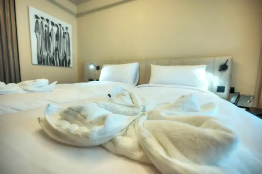Executive Double room with balcony (full double bed)