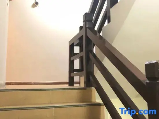 Balcony & Terrace