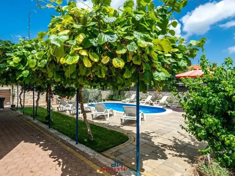 Andrea Comfortable Holiday Residence