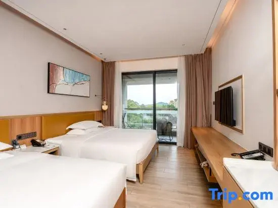 Superior Double room (twin beds)