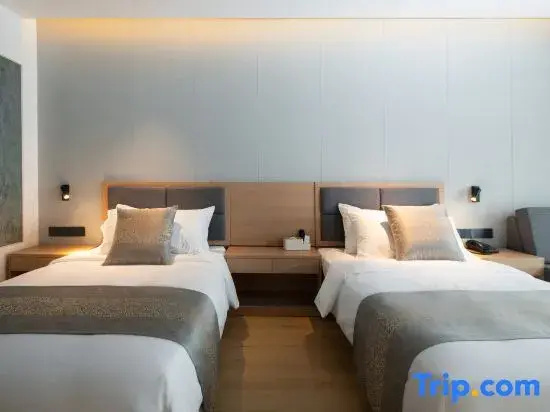 Standard Double room with city view (twin beds)
