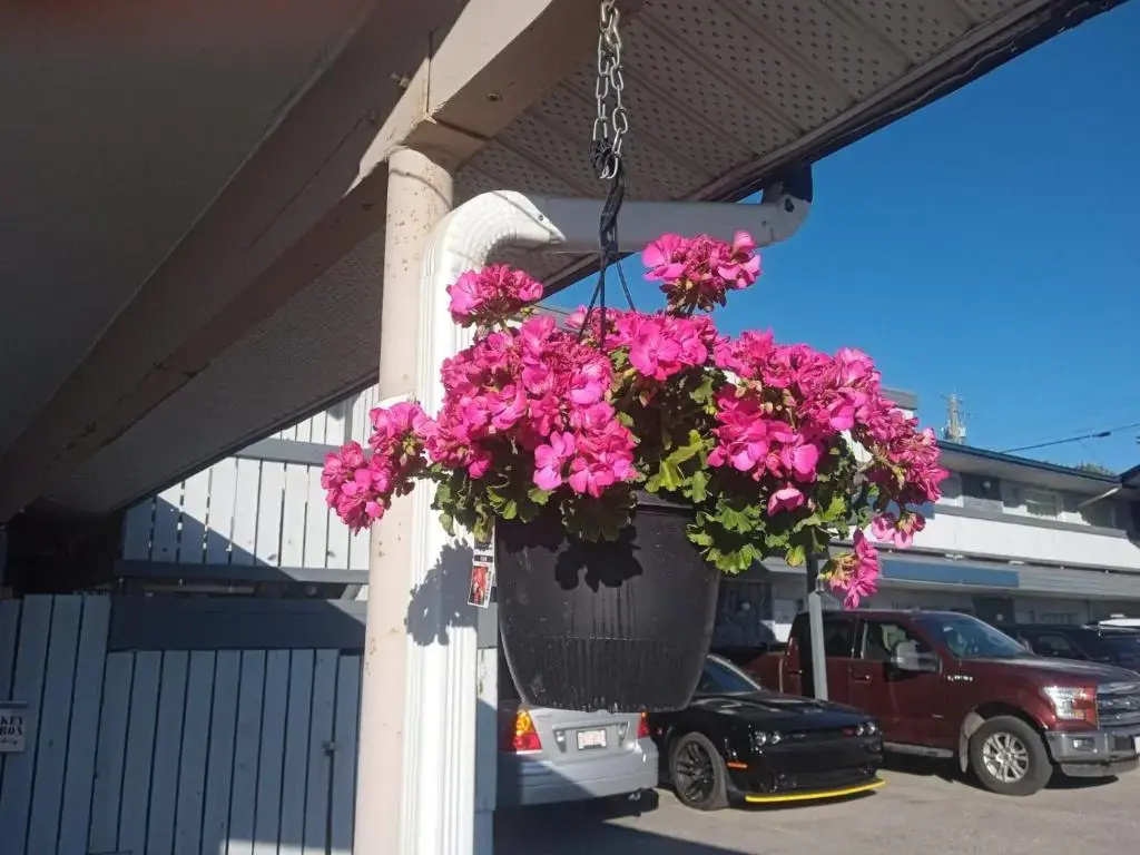 Hotel photo 48
