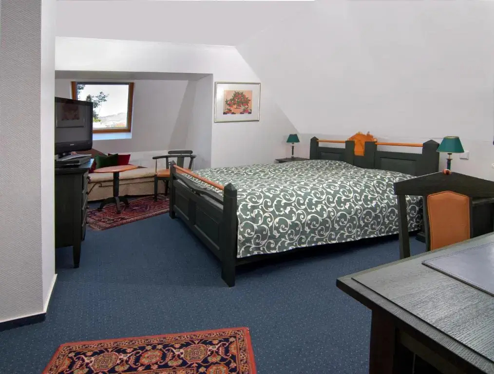 Standard Double room (full double bed)