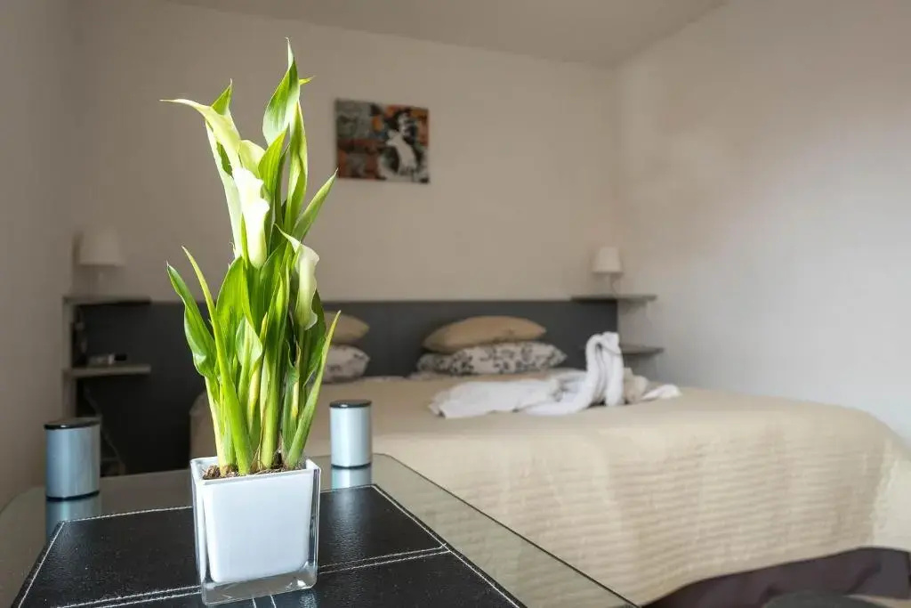 Apart Het Veerse Meer - Chambres