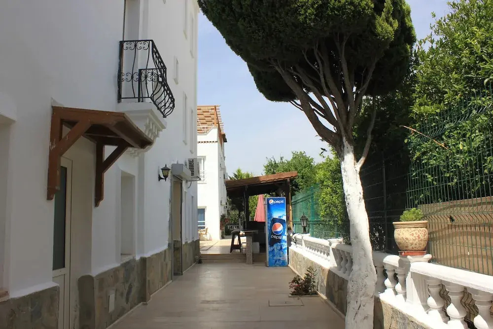 Hotel photo 12