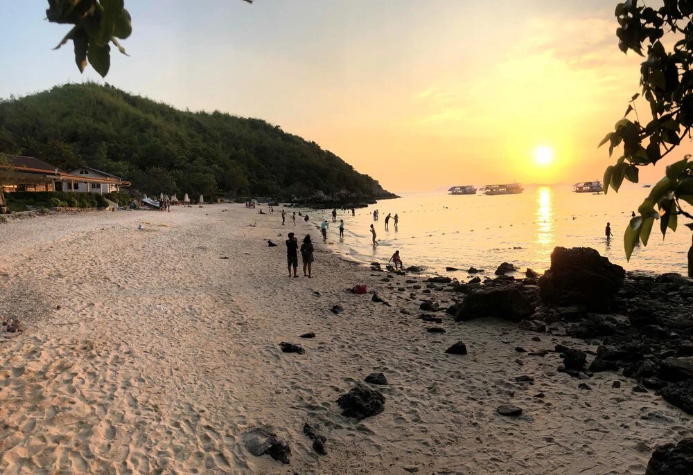 Beach & Waterfront