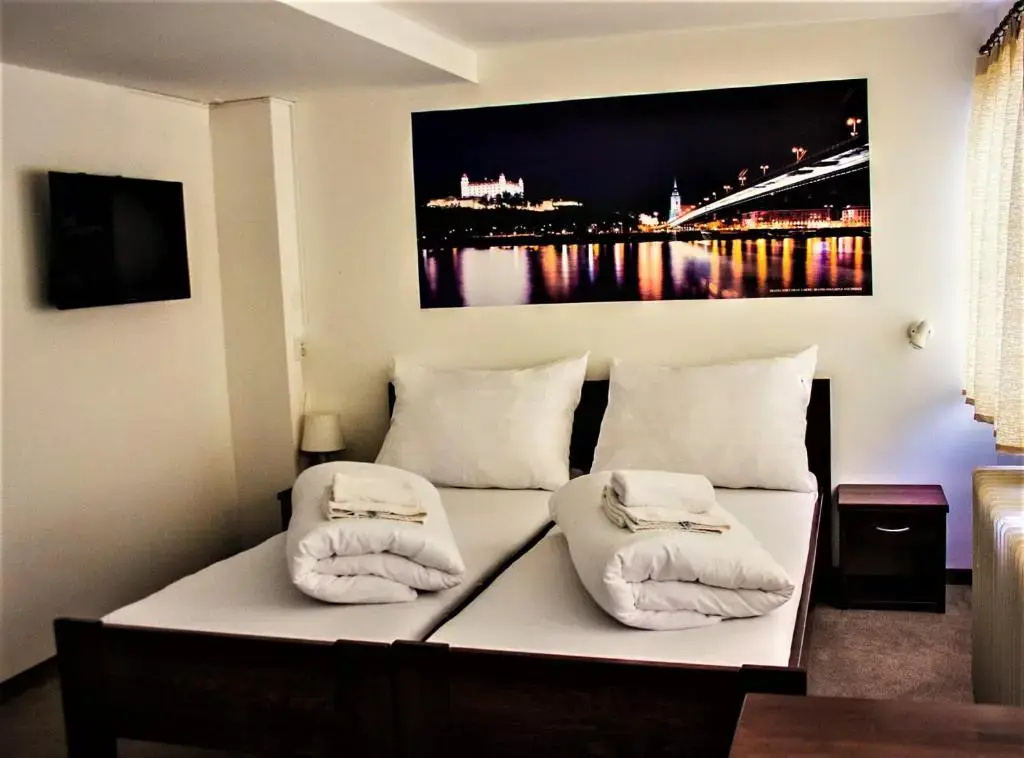 Standard Double room (twin beds)