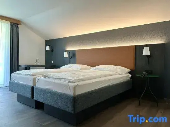 Alpin - Chambres