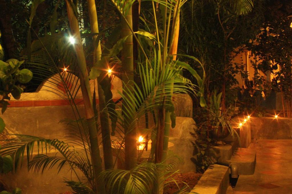 Dionis Villa