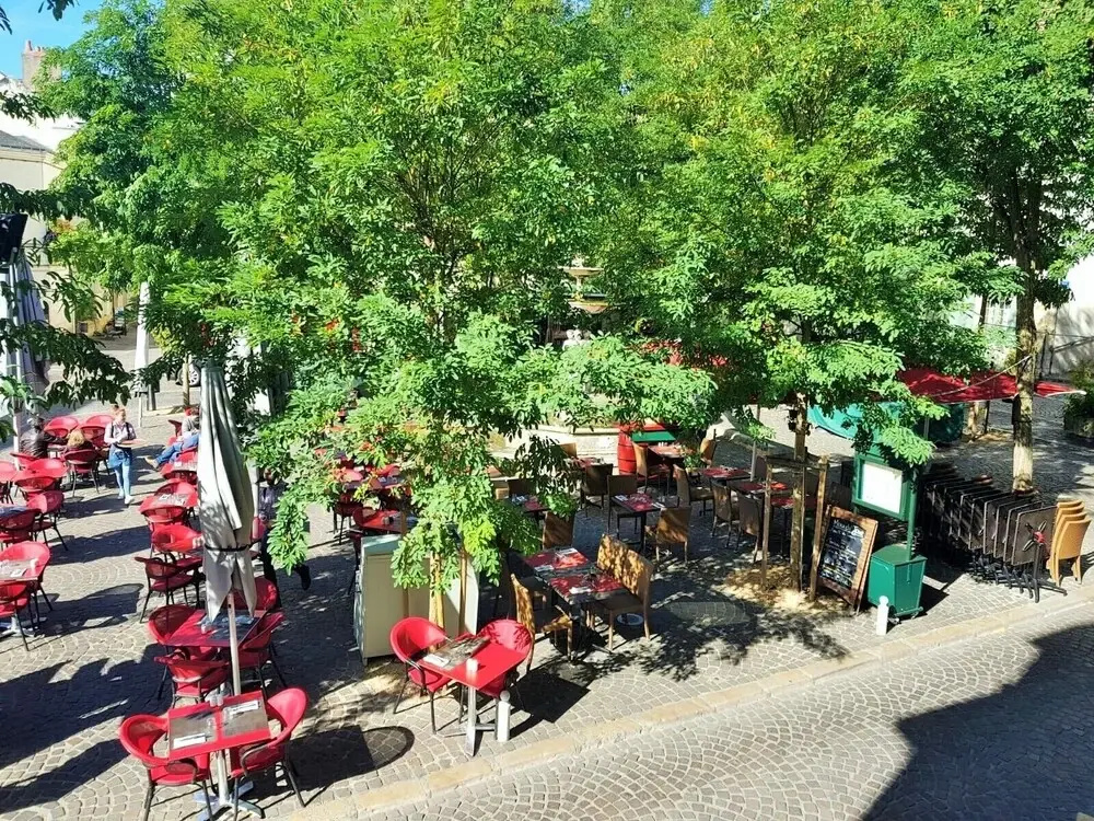 L'Hôtel du Café des Arts