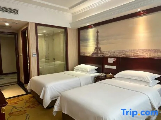 Vienna Hotel Shanghai Hongqiao Xujing - Chambres