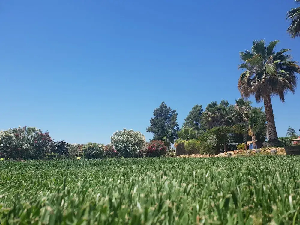 Quinta das Origens