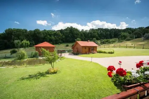 Vadmacska Vadász és Vendégház - фото 9