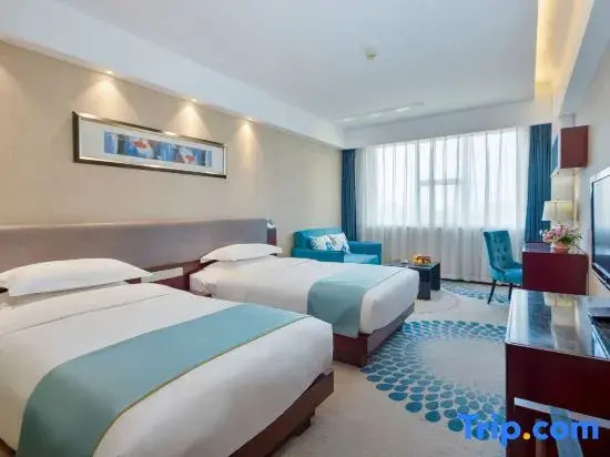 Business Double room with city view (twin beds)
