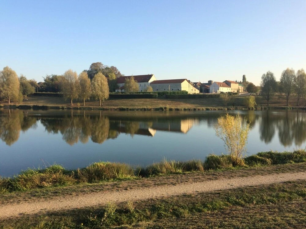 Image 13