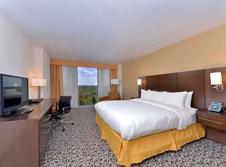 Radisson Hotel Atlanta-marietta - Chambres