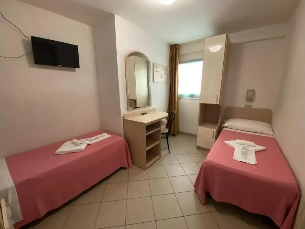 Standard Double room (twin beds)