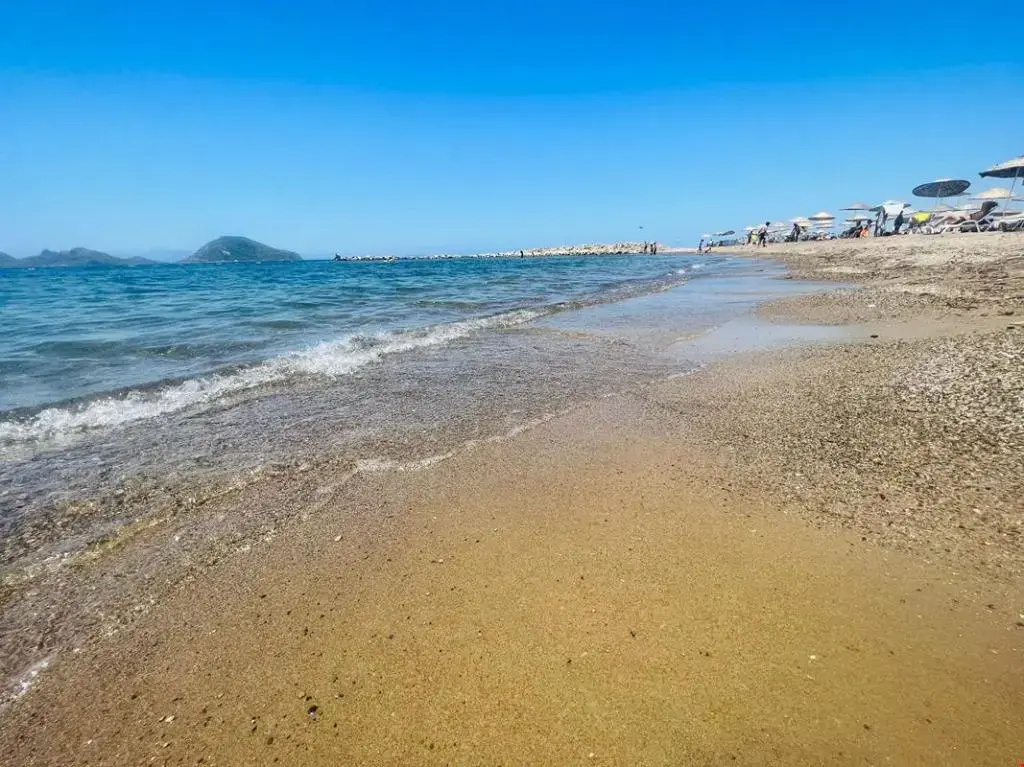 Beach & Waterfront