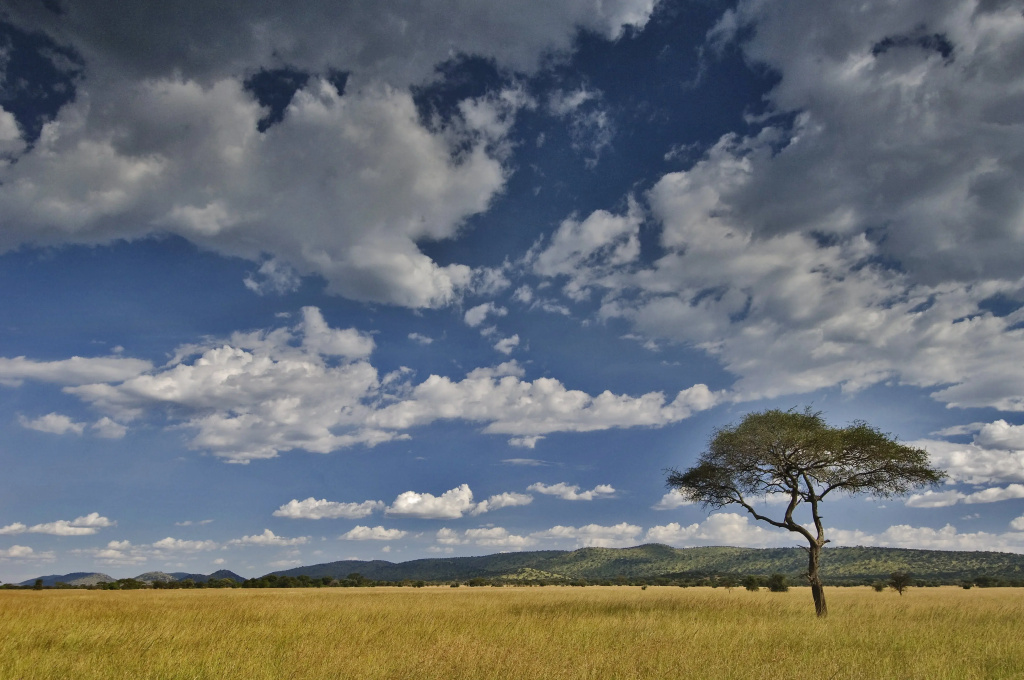 Kirawira Serena Camp