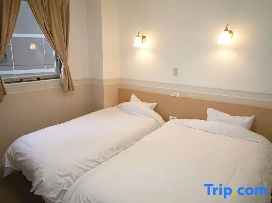 Standard Double room with city view (twin beds)