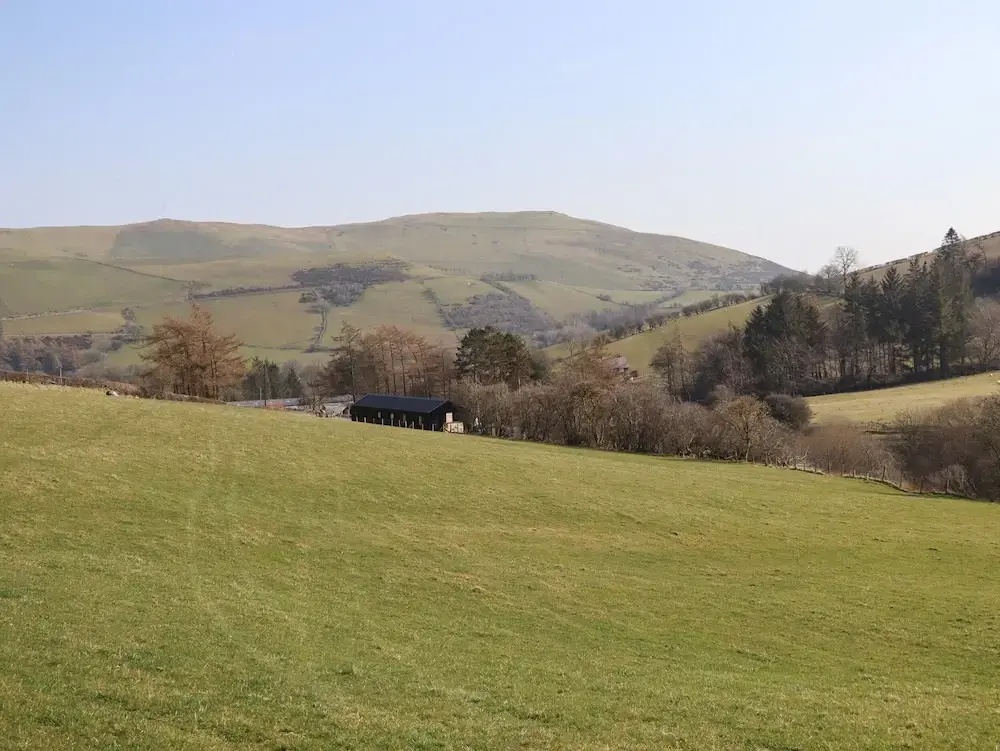 The Sheep Shed