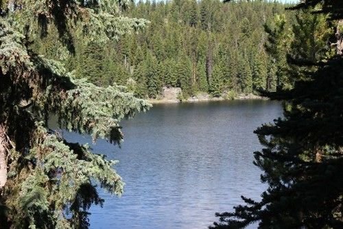 gallery_image_hidden_4