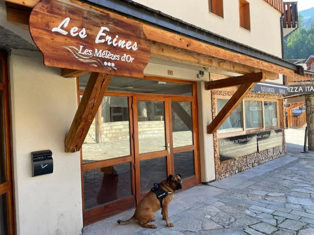 Les Orres 6 Places Coeur de Station avec Piscine
