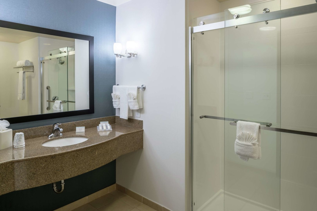 Hilton Garden Inn DFW North Grapevine - Général