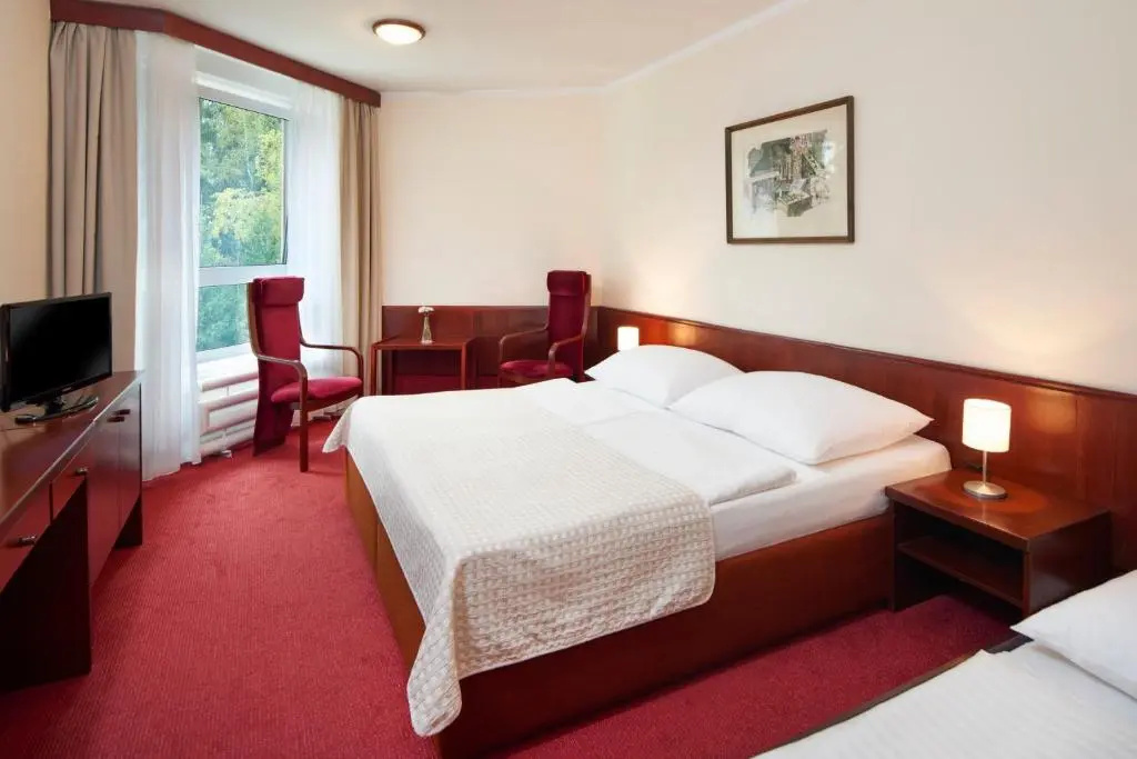 Wellness hotel Svornost - Chambres