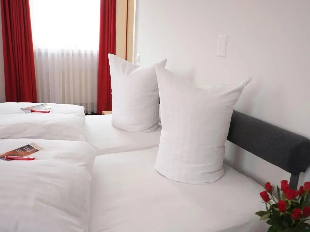Hotel Brauerei Frohsinn - Chambres