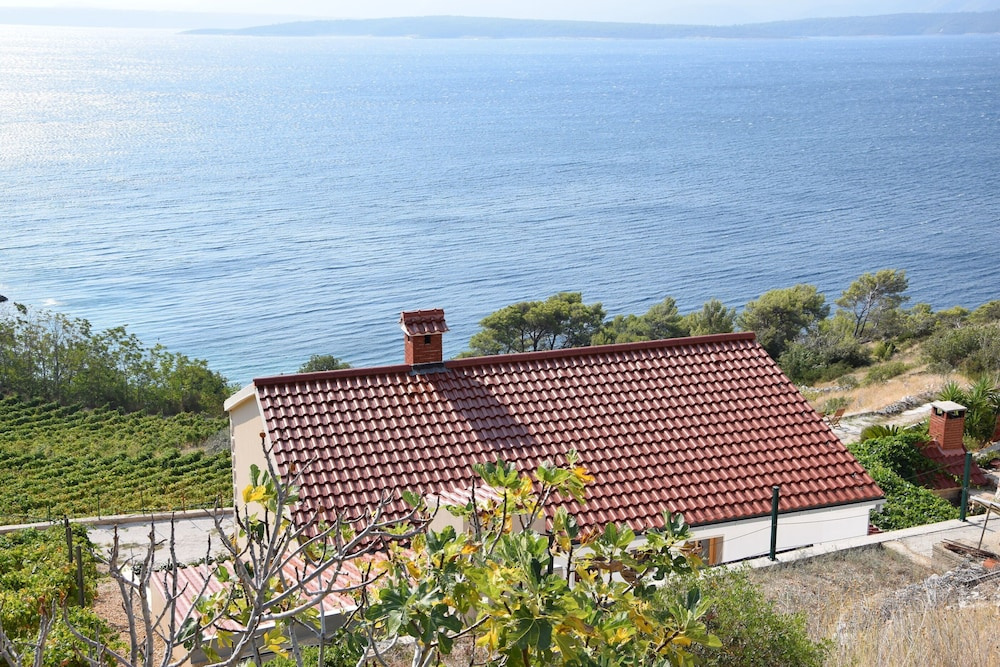 Hotel photo 44