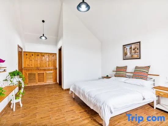 Standard Double room with mountain view (full double bed)