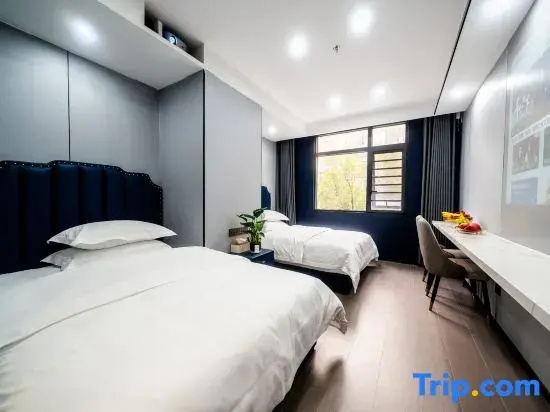 Deluxe Double room (twin beds)