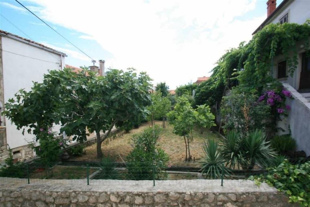 Image 9