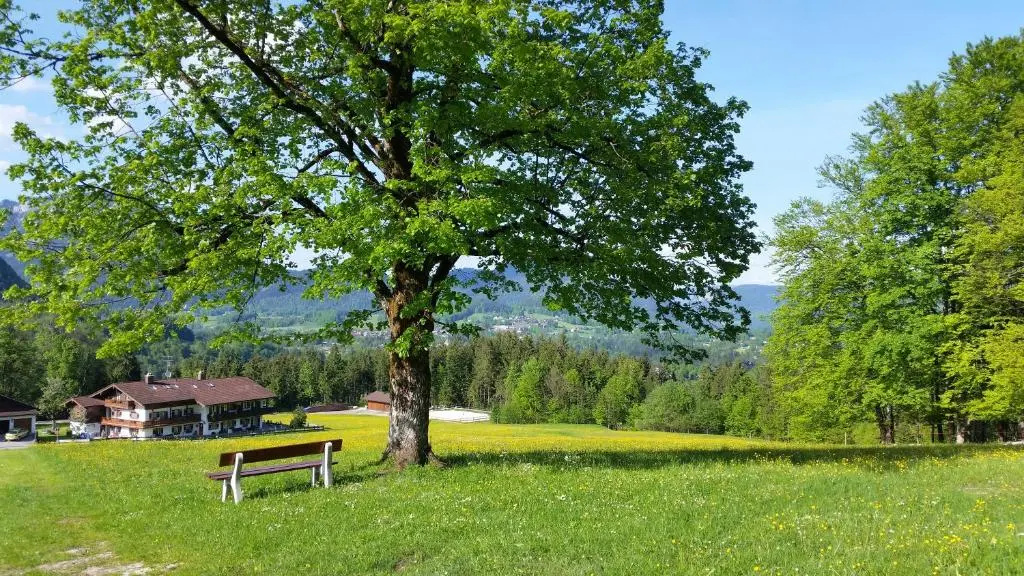 Pension Hochödlehen - Chambres