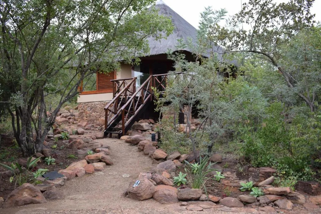 Sekala Private Game Lodge - Chambres