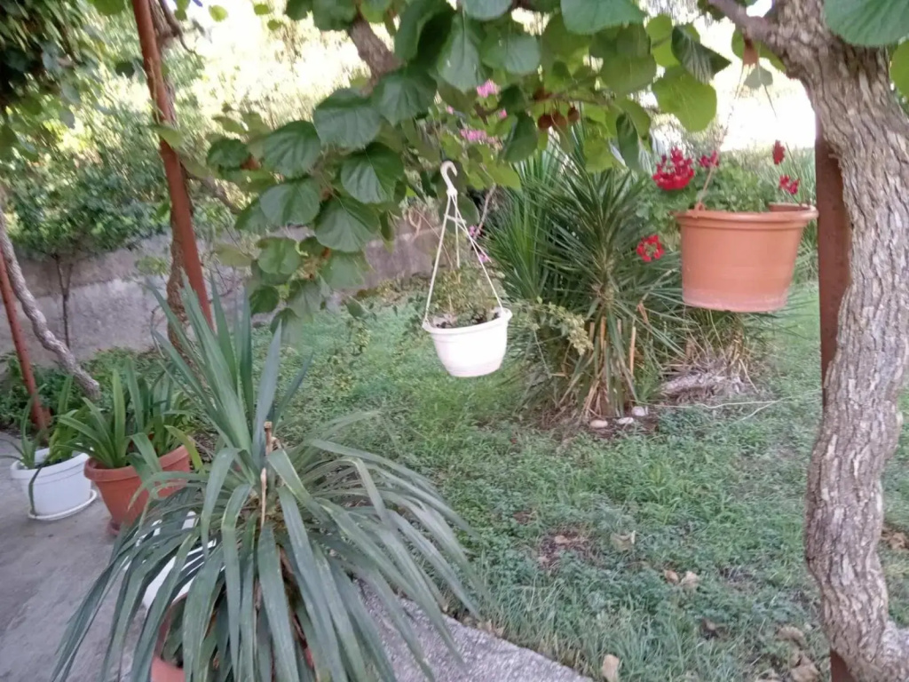 Apartman Ipak Se Okrece