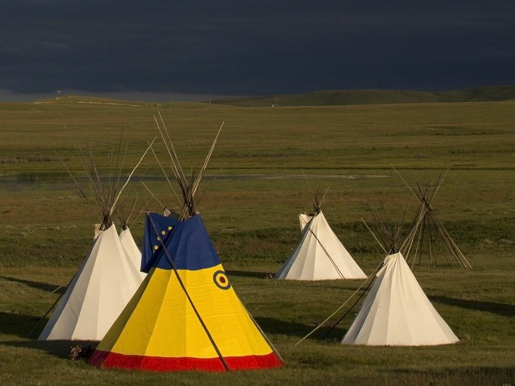 Lodgepole Gallery by null