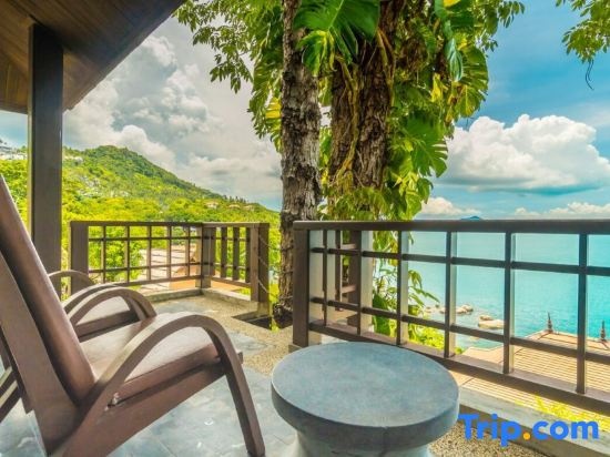Balcony & Terrace