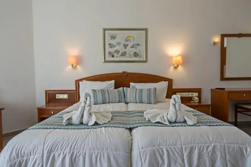 Standard Double room (twin beds)
