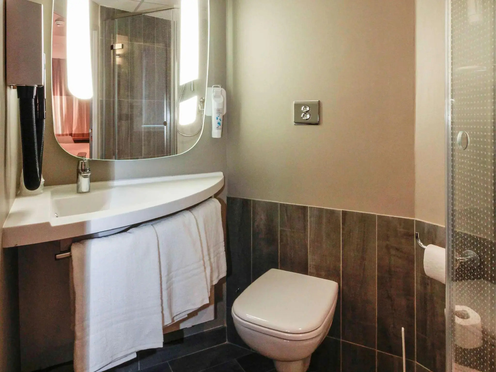 Standard Double room (twin beds)