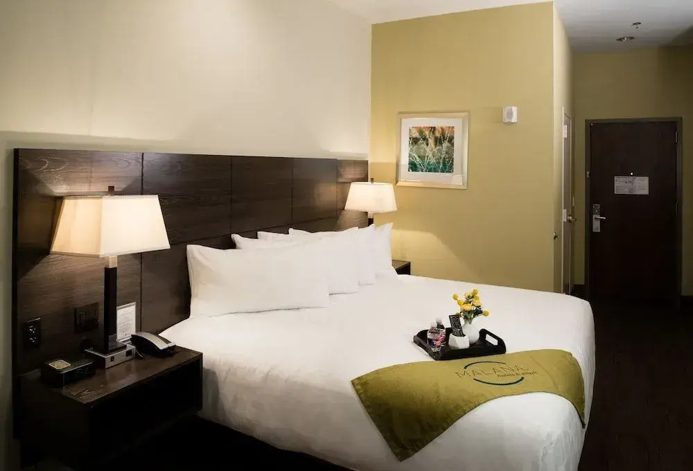 Malana Hotels & Suites - Général