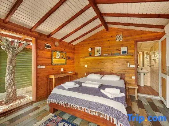 Deluxe Double room (full double bed)