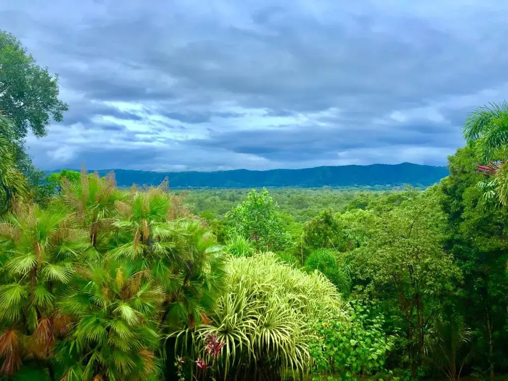 Standard Double room with view (full double bed)